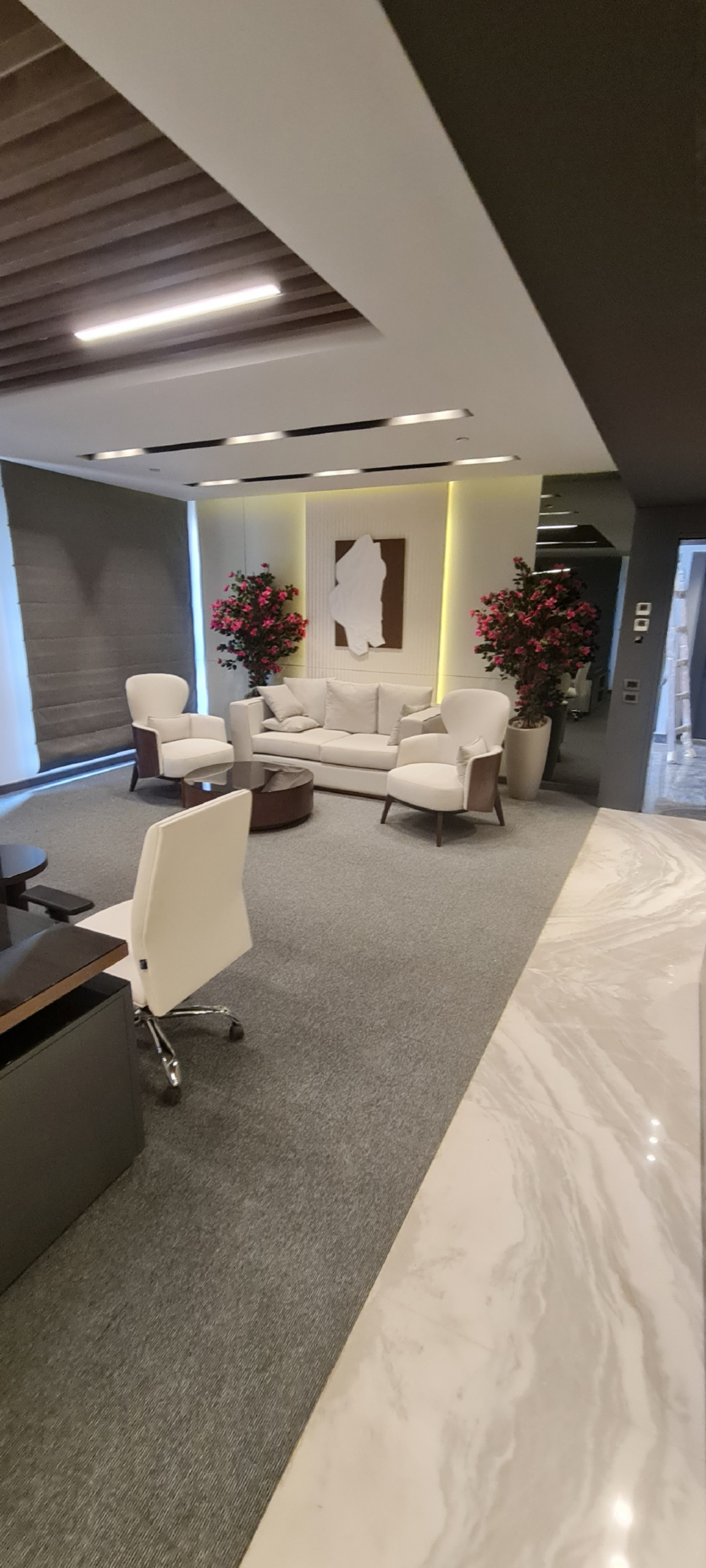 Modern Living Room Suite