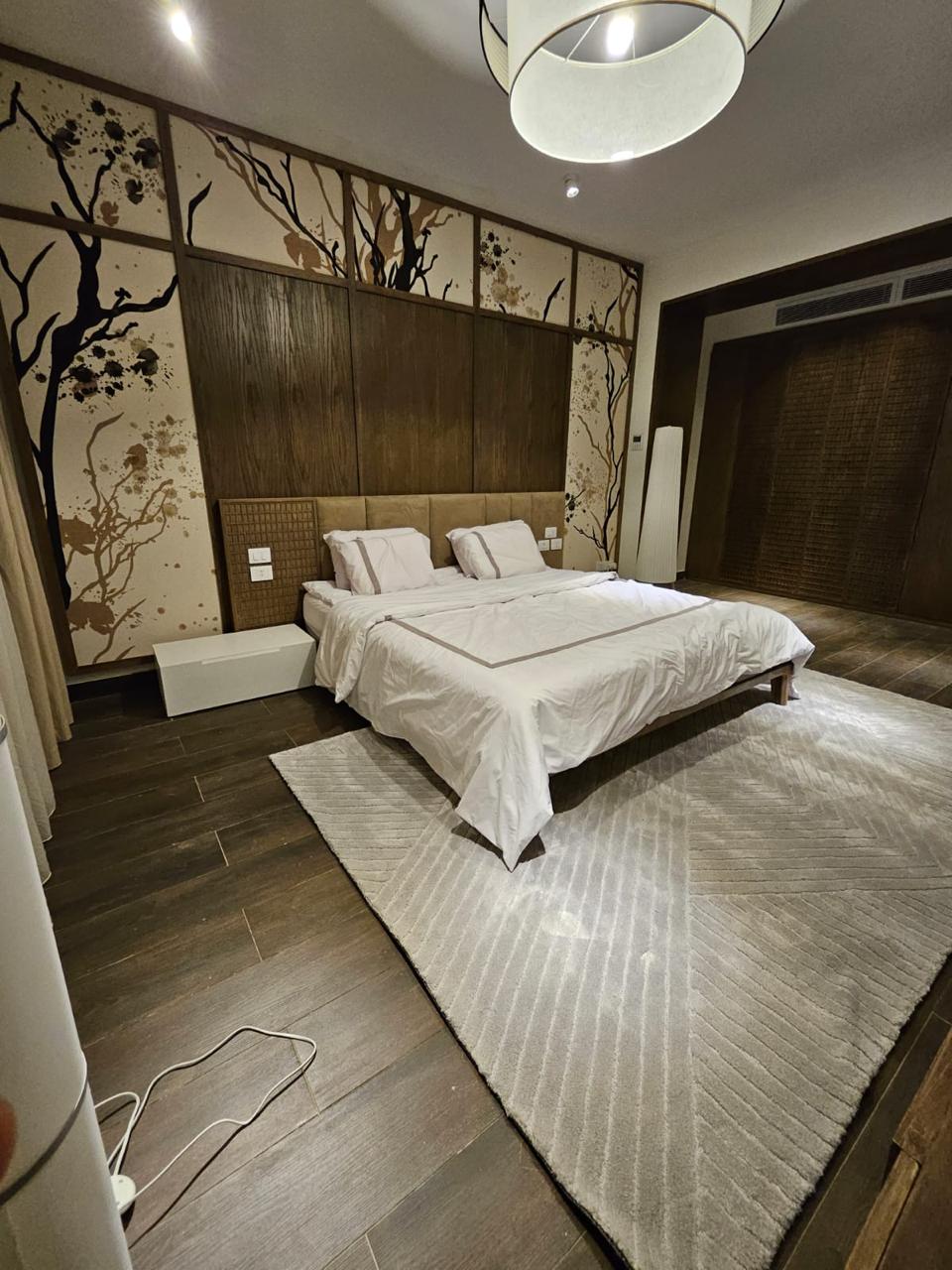Modern Living Room Suite Detail